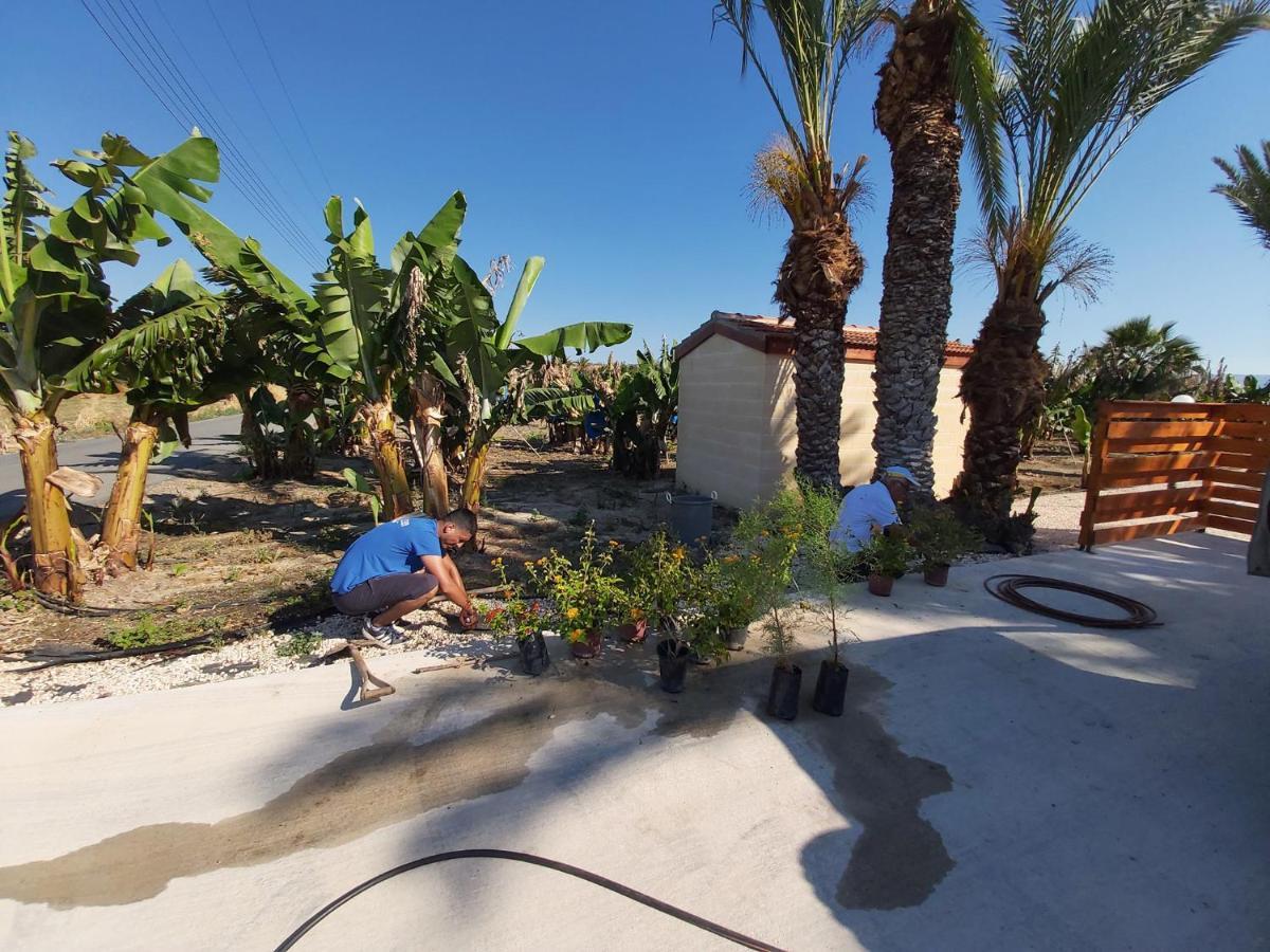 Argaka Palm Tree Apts Exterior photo