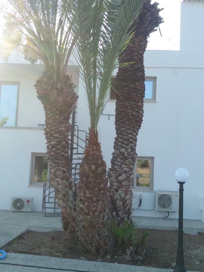 Argaka Palm Tree Apts Exterior photo